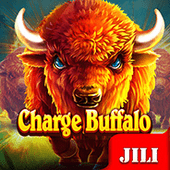 Playzone Console Charge Buffalo