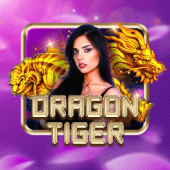 Playzone Console Dragon Tiger live casino